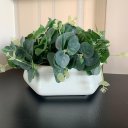 Ver imagem 2 de Vaso Centro de Mesa Branco Trabalhado com Planta Eucalipto
