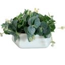 Ver imagem 1 de Vaso Centro de Mesa Branco Trabalhado com Planta Eucalipto
