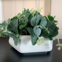 Ver imagem 3 de Vaso Centro de Mesa Branco Trabalhado com Planta Eucalipto