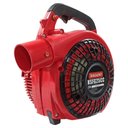 Ver imagem 6 de Soprador de Folhas a Gasolina 25.4cc 2t