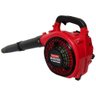 Soprador de Folhas a Gasolina 25.4cc 2t - 13