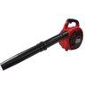 Soprador de Folhas a Gasolina 25.4cc 2t - 10