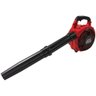 Soprador de Folhas a Gasolina 25.4cc 2t - 1