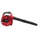 Ver imagem 3 de Soprador de Folhas a Gasolina 25.4cc 2t