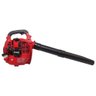 Soprador de Folhas a Gasolina 25.4cc 2t - 3