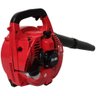 Soprador de Folhas a Gasolina 25.4cc 2t - 14
