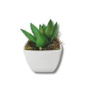 Ver imagem 1 de Suculenta Artificial Mini Vaso de Plástico Branco
