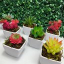 Ver imagem 4 de Suculenta Artificial Mini Vaso de Plástico Branco