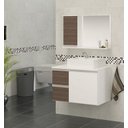 Ver imagem 1 de Kit Gabinete Mdf com Cuba e Espelheira 0,60m para Banheiro:branco/rustico
