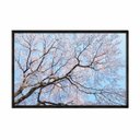 Ver imagem 1 de Quadro Decorativo - Flores Cerejeiras Ceu Azul Flnt099 - Vidro com Impressão Uv - 60x40cm