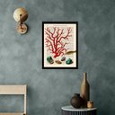 Ver imagem 2 de Quadro Casa de Praia - Coral Vintage 33x24cm - com Vidro:madeira Branca