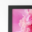 Ver imagem 2 de Quadro Paeonia Lactiflora Flor Rosa Moldura Preta 60x40cm