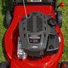 Conjunto 1 Cortador de Grama Americano 1 Roçadeira a Gasolina BR 52G 51.7cc Briggs & Stratton - 8