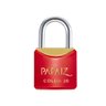 Cadeado com Chave 20mm Latão Vermelho Color Line Saco Plástico - 1