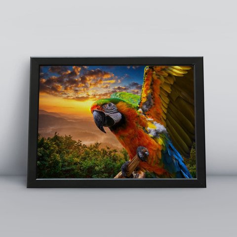 Quadro Decorativo Moldura Preta 30x40cm Araras Paisagem