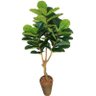 Árvore Planta Fícus Lyrata - 174cm Permanente Grande - 1