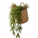 Ver imagem 6 de Kit 8 Pendentes de Eucalipto Artificial Realista 87 cm Decoração Elegante e Durável