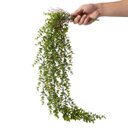 Ver imagem 4 de Kit 8 Pendentes de Eucalipto Artificial Realista 87 cm Decoração Elegante e Durável