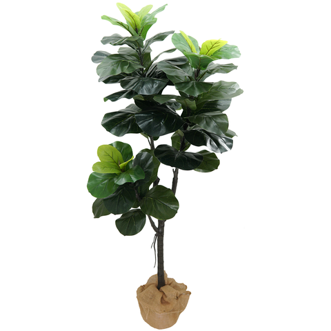 Arvore Planta Ficus Lyrata 150cm para Vasos Sala Decoração