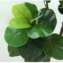 Ver imagem 3 de Arvore Planta Ficus Lyrata 150cm para Vasos Sala Decoração
