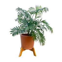 Suporte para Vaso de Plantas Fixo Reforçado Pequeno - 2