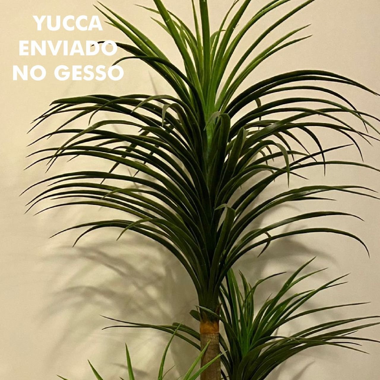 Árvore Artificial Yucca 150cm Planta Permanente no Gesso (Yuka) - 3