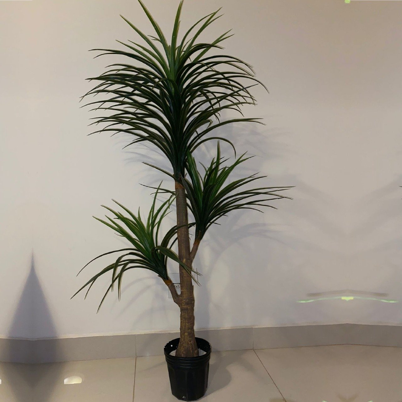 Árvore Artificial Yucca 150cm Planta Permanente no Gesso (Yuka) - 4