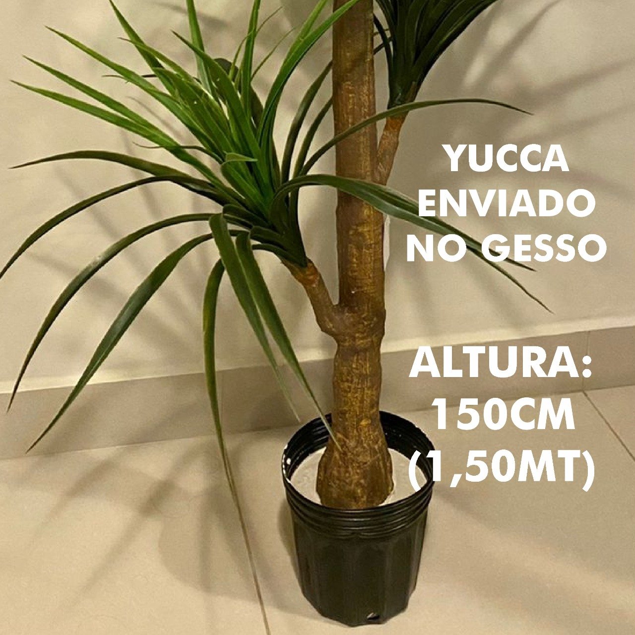 Árvore Artificial Yucca 150cm Planta Permanente no Gesso (Yuka) - 2