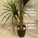 Ver imagem 2 de Árvore Artificial Yucca 150cm Planta Permanente no Gesso (Yuka)