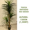 Ver imagem 1 de Árvore Artificial Yucca 150cm Planta Permanente no Gesso (Yuka)