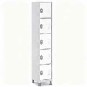 Armário 5 Portas Pequenas de Aço para Empresa:branco