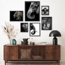 Ver imagem 1 de Composição 6 Quadros Fotografias Elefantes - com Vidro:madeira Preta