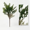 Ver imagem 5 de Mini Buquê de Samambaia Artificial 35cm Kit 2 Folhagens para Painel Verde e Decoração