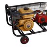 Pulverizador Gasolina Motor 5,5cv 4t 14-22l/min 50m - 2