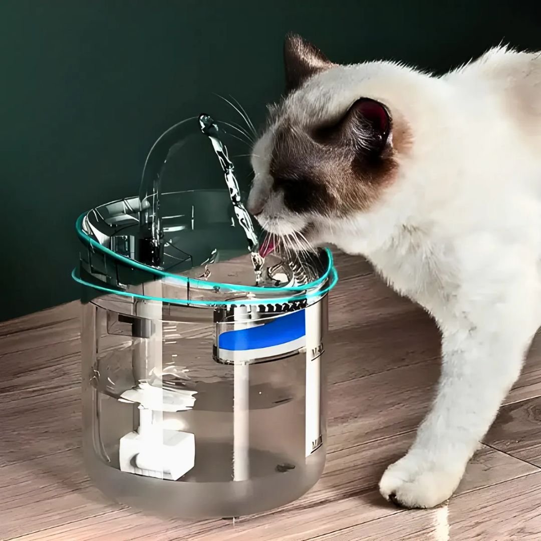 Bebedouro Automático com Filtro Gatos e Cachorros Fonte de Agua para Pets Milemon - 5