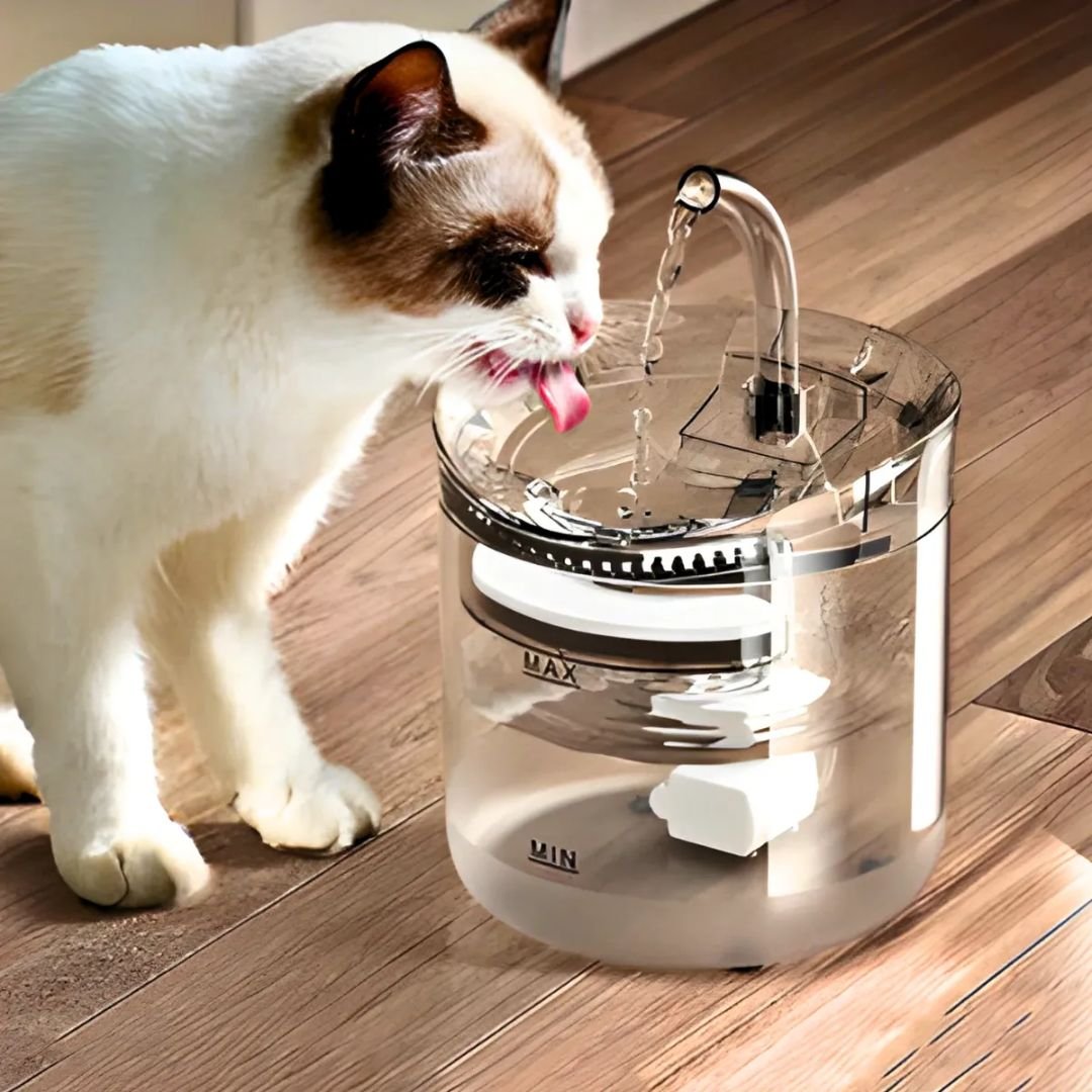 Bebedouro Automático com Filtro Gatos e Cachorros Fonte de Agua para Pets Milemon