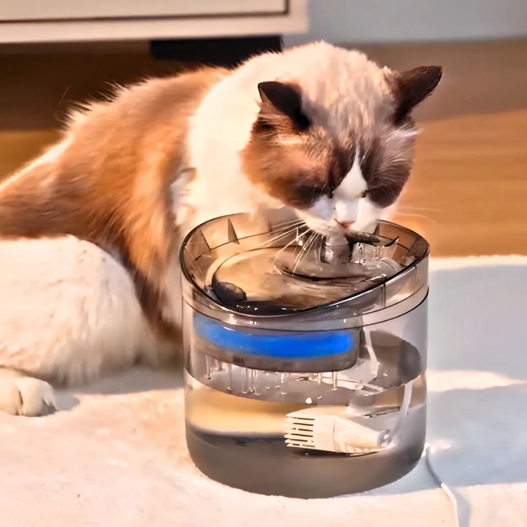 Bebedouro Automático com Filtro Gatos e Cachorros Fonte de Agua para Pets Milemon - 4
