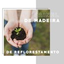 Ver imagem 6 de Cozinha Compacta Arizona Classic com Armário e Balcão Carraro - Carvalho Carvalho