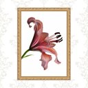 Ver imagem 1 de Quadro Moldura Dourada Flor Nuances Bordô 45x34cm:com Vidro