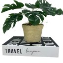 Ver imagem 1 de Livro decorativo de papelão e vaso revestido com corda sisal