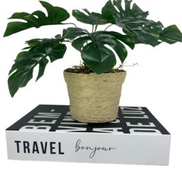 Livro decorativo de papelão e vaso revestido com corda sisal - 1