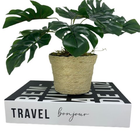 Livro decorativo de papelão e vaso revestido com corda sisal