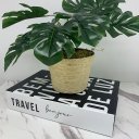 Ver imagem 3 de Livro decorativo de papelão e vaso revestido com corda sisal