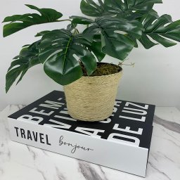 Livro decorativo de papelão e vaso revestido com corda sisal - 3