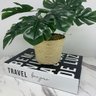 Livro decorativo de papelão e vaso revestido com corda sisal - 3