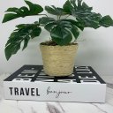 Ver imagem 4 de Livro decorativo de papelão e vaso revestido com corda sisal