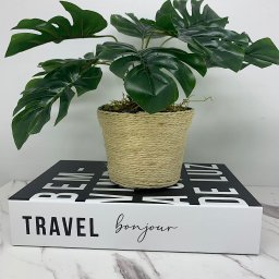 Livro decorativo de papelão e vaso revestido com corda sisal - 4