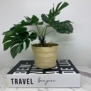 Ver imagem 2 de Livro decorativo de papelão e vaso revestido com corda sisal