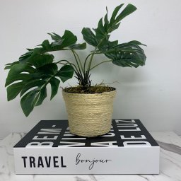 Livro decorativo de papelão e vaso revestido com corda sisal - 2