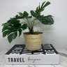 Livro decorativo de papelão e vaso revestido com corda sisal - 2